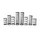zBroz Polaris RZR Pro R Stage 1 Spring Kit for Fox Dynamics Shocks
